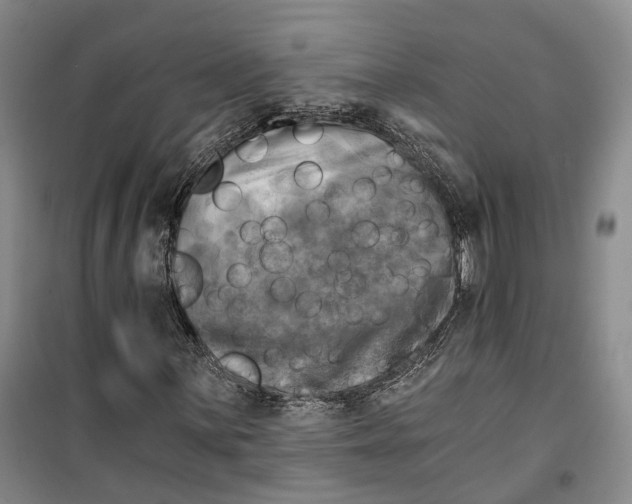 X0000099451059200805301507