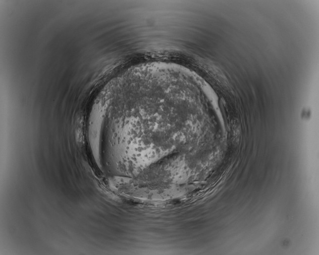 X0000099451060200805301507