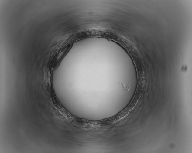 X0000099451061200805301507