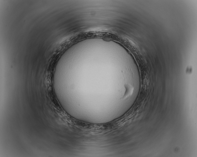 X0000099451062200805301507