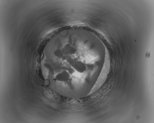 X0000099451063200805301507