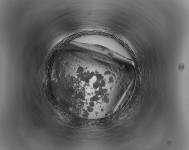 X0000099451064200805301507