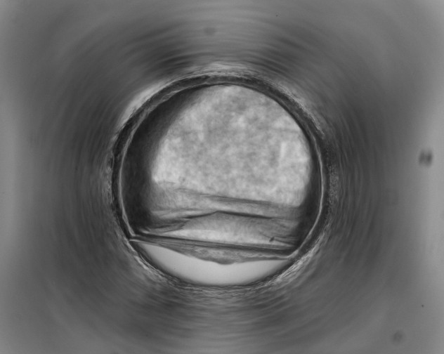 X0000099451066200805301507