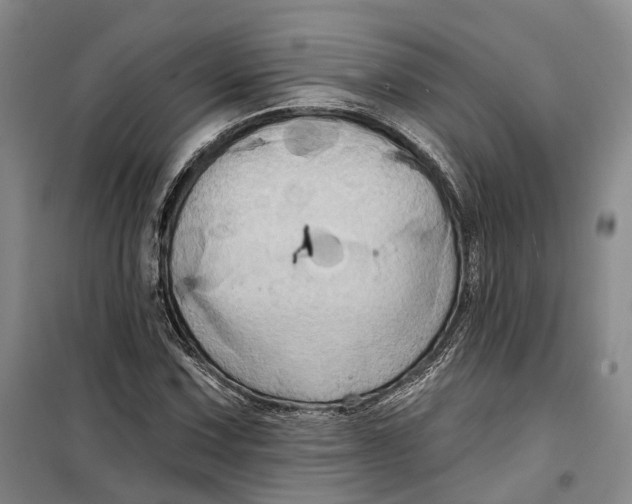 X0000099451067200805301507