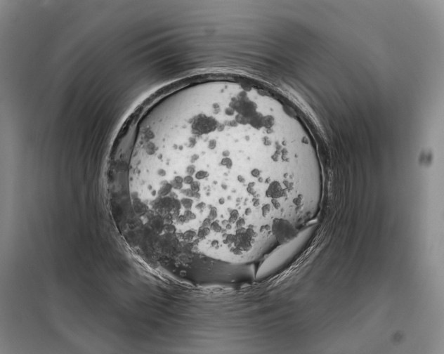 X0000099451068200805301507