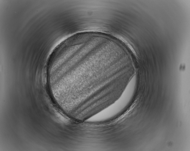 X0000099451069200805301507