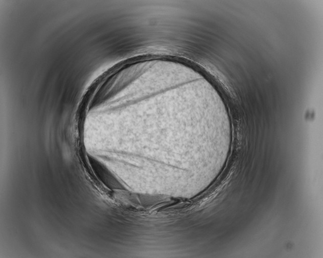 X0000099451070200805301507