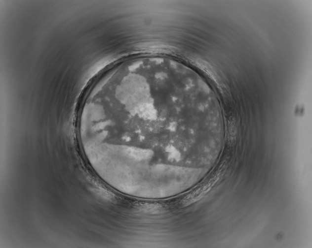 X0000099451071200805301507