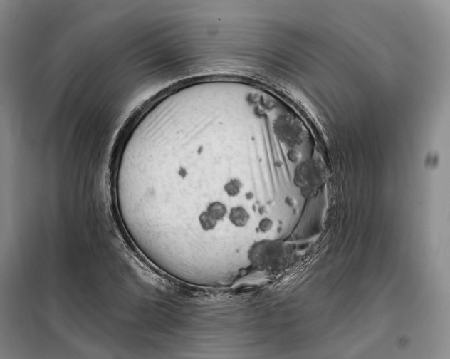 X0000099451072200805301507