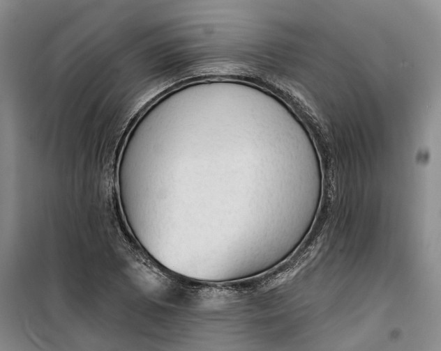 X0000099451073200805301507