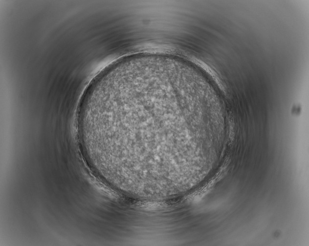 X0000099451074200805301507