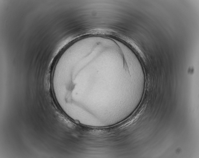 X0000099451075200805301507