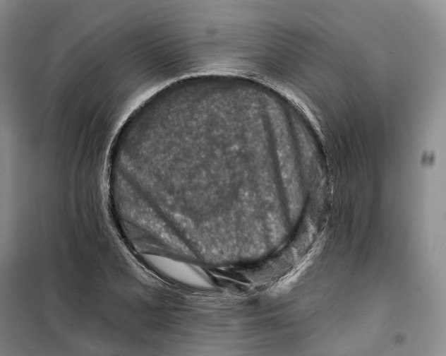 X0000099451077200805301507