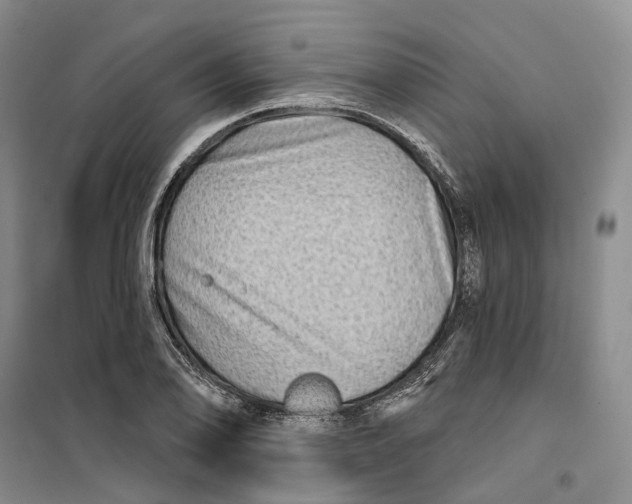 X0000099451078200805301507