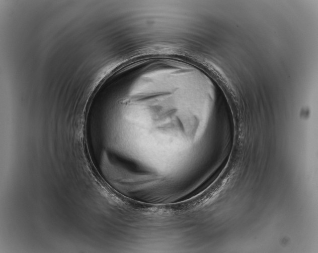 X0000099451081200805301507