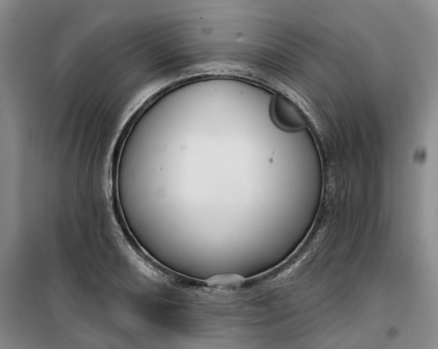 X0000099451082200805301507