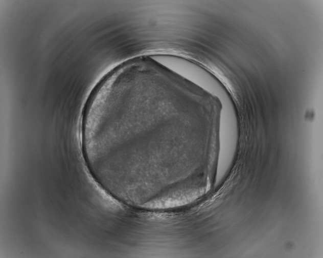 X0000099451084200805301507