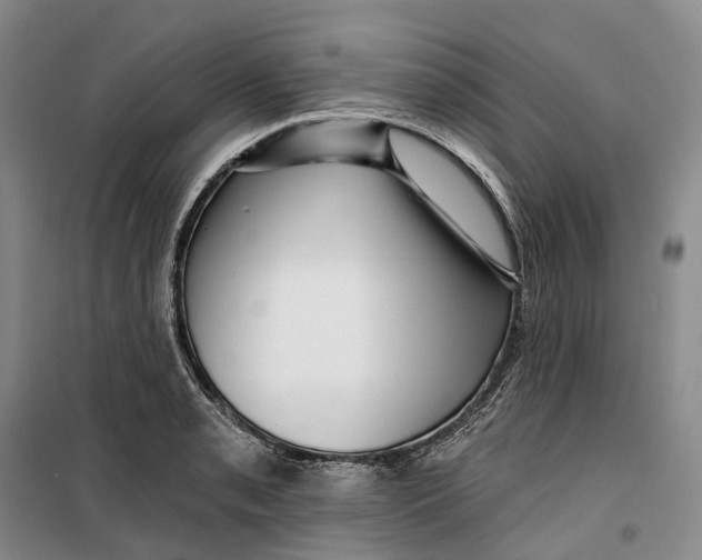 X0000099451085200805301507