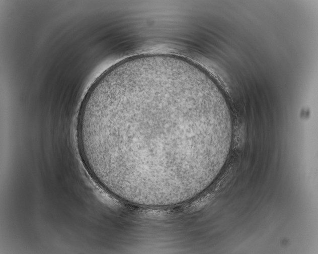 X0000099451086200805301507