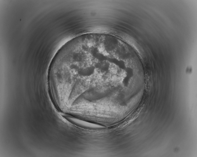 X0000099451087200805301507