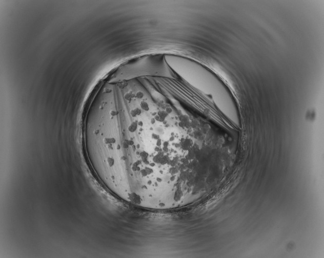 X0000099451088200805301507