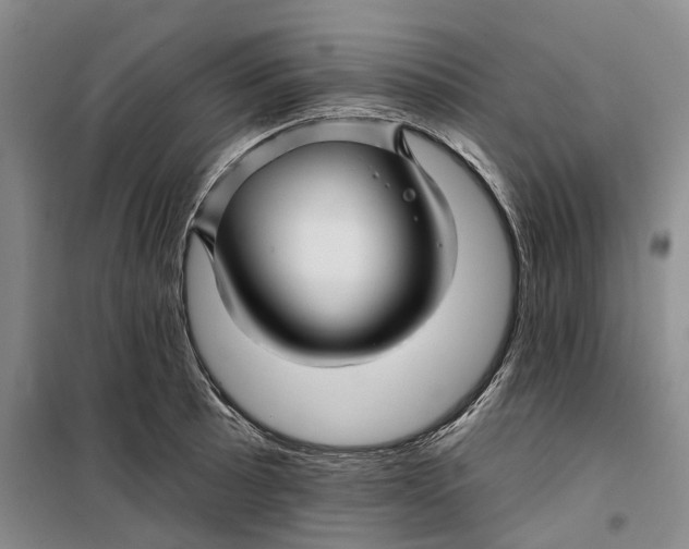 X0000099451089200805301507