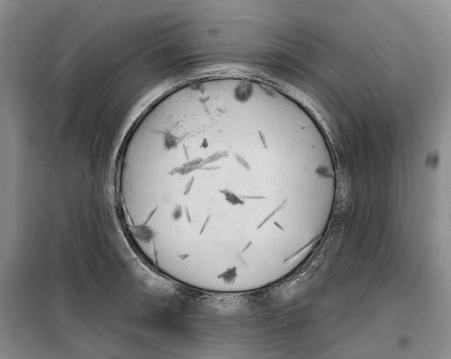 X0000099451090200805301507