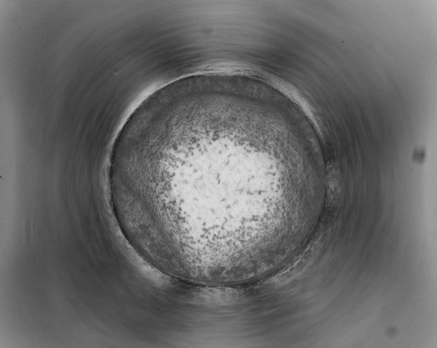 X0000099451091200805301507