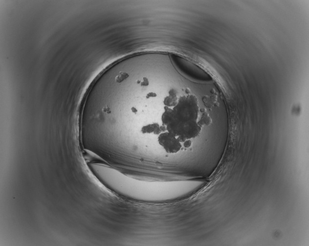 X0000099451092200805301507