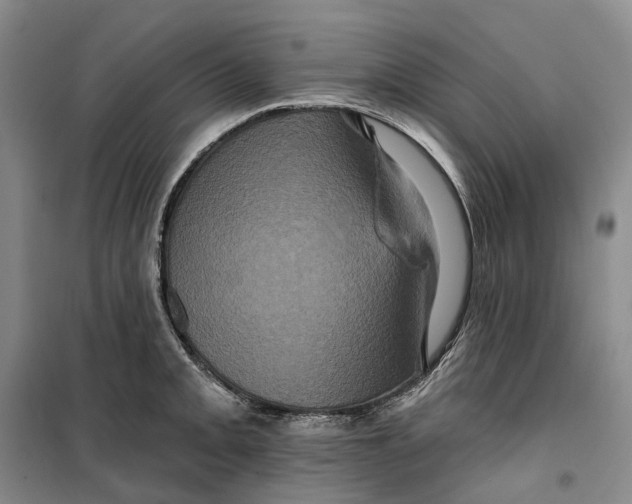 X0000099451093200805301507