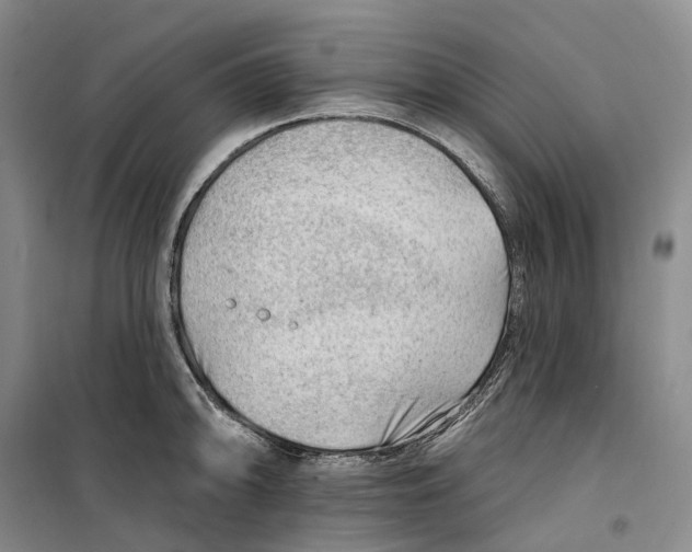 X0000099451094200805301507