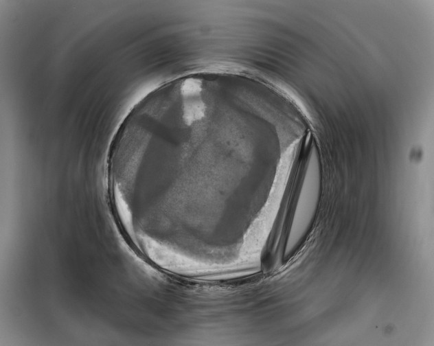 X0000099451095200805301507