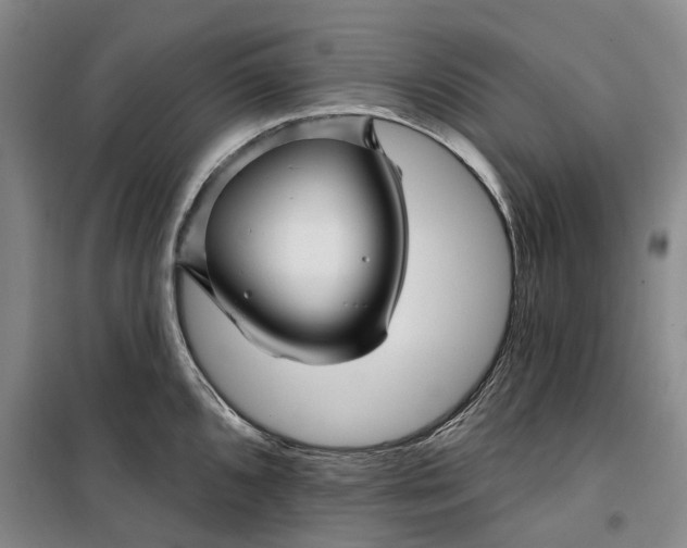 X0000099451096200805301507