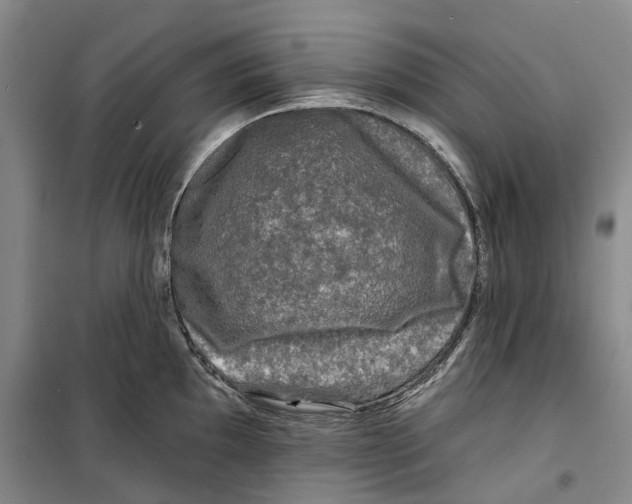 X0000099451097200805301507