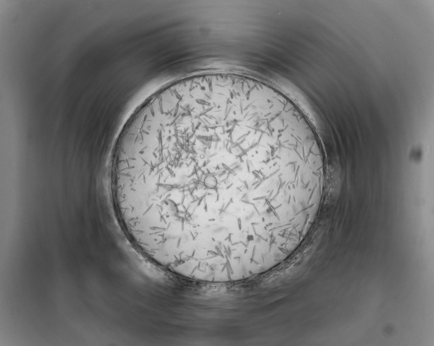 X0000099451098200805301507