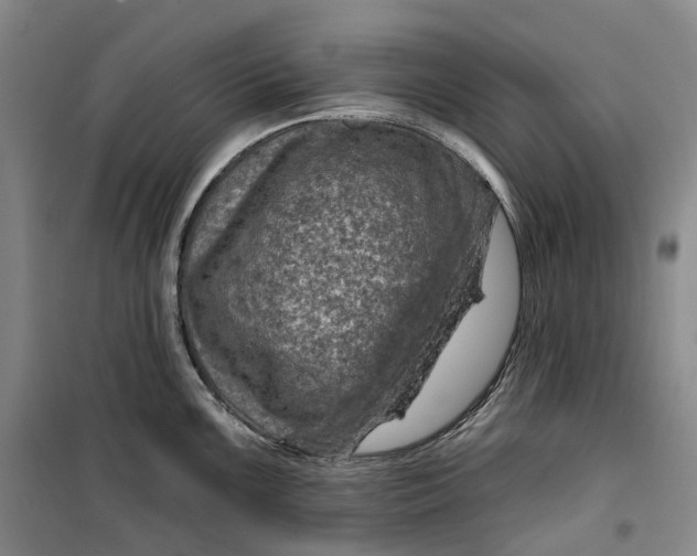 X0000099451099200805301507