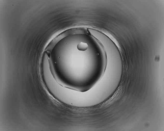 X0000099451101200805301507