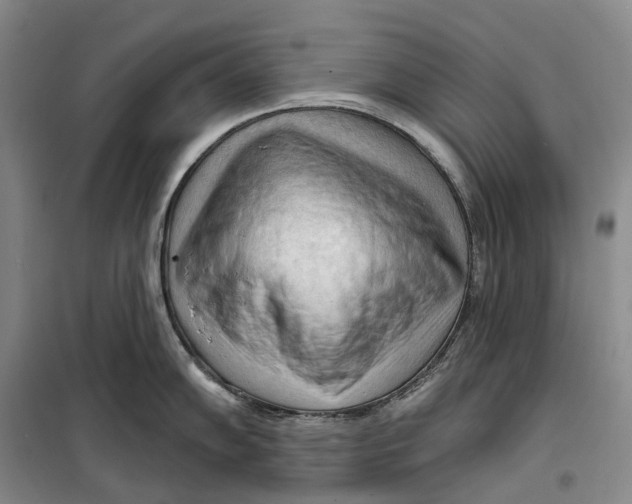 X0000099451102200805301507