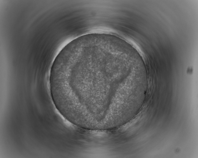 X0000099451103200805301507