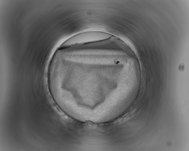 X0000099451104200805301507