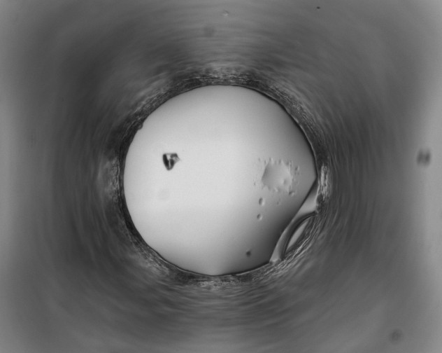 X0000099451107200805301506