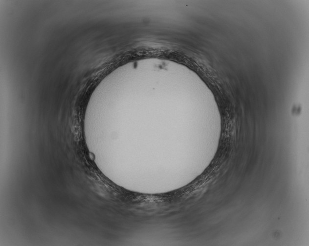 X0000099451109200805301506