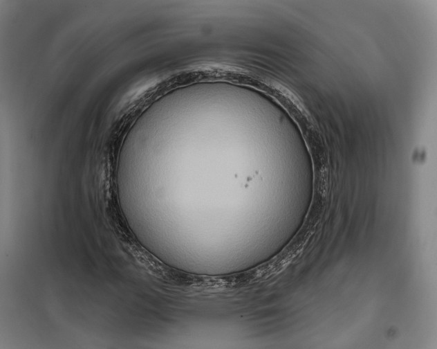 X0000099451111200805301506