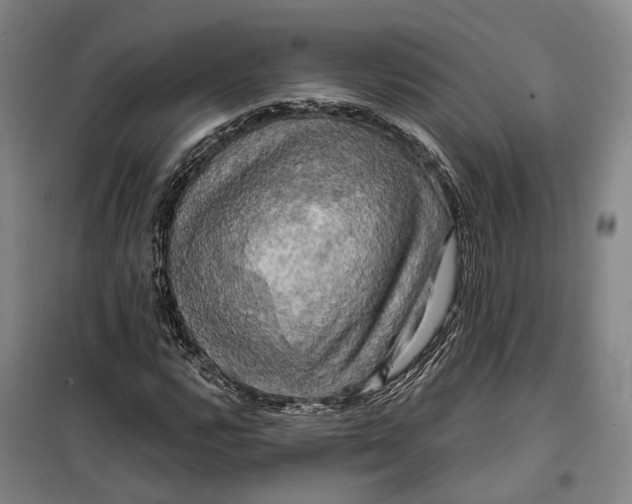 X0000099451112200805301506