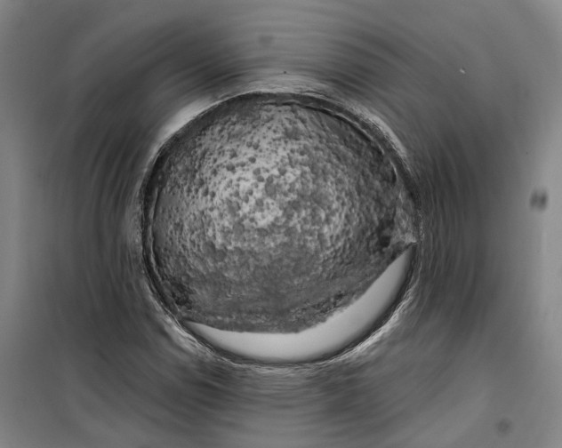 X0000099451114200805301506