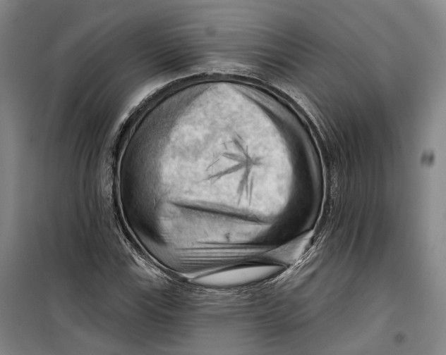 X0000099451115200805301506