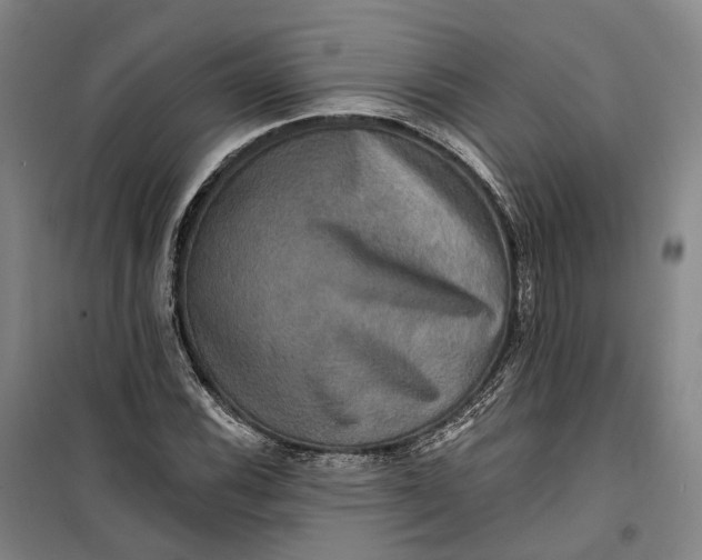 X0000099451116200805301506