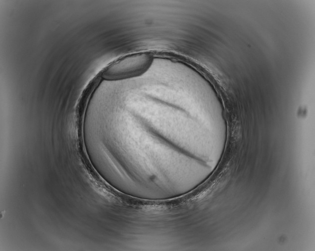 X0000099451118200805301506