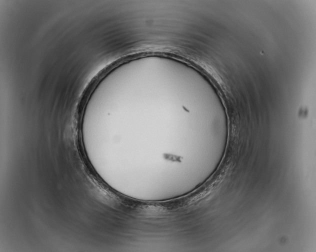 X0000099451119200805301506