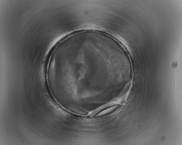 X0000099451120200805301506